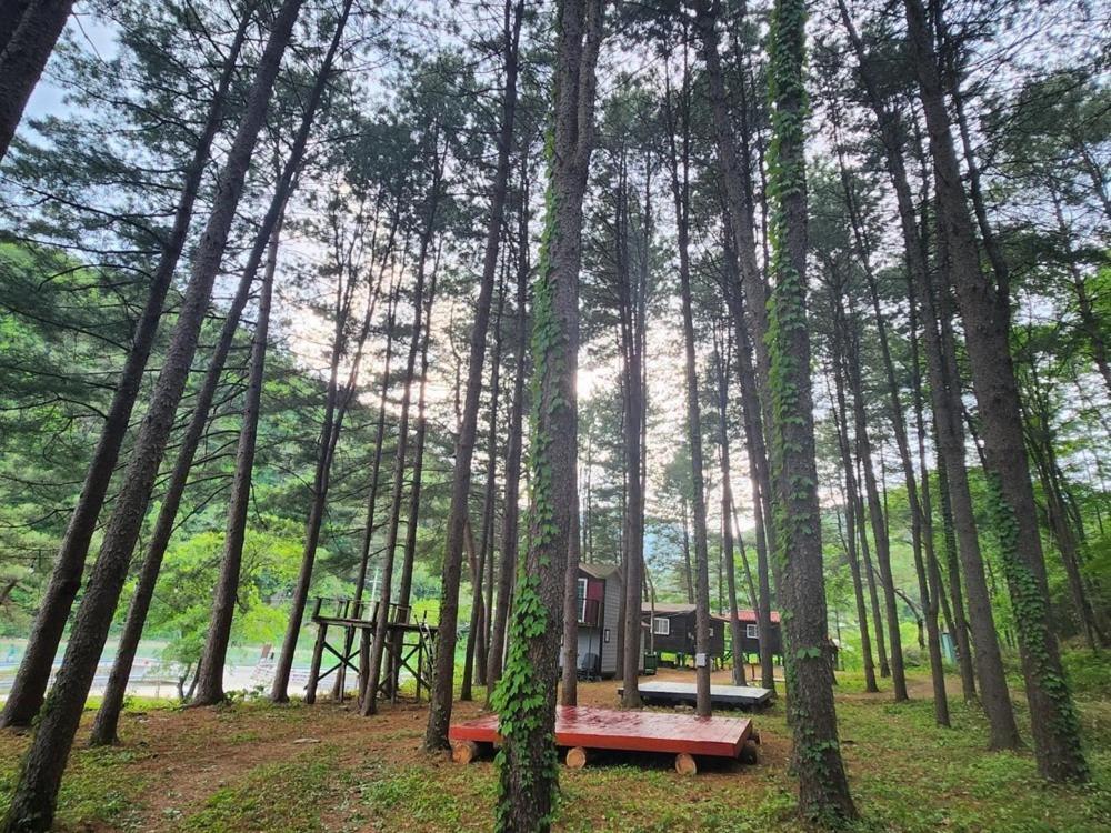 Hongcheon Gongjaksan Recreational Forest Pension Екстер'єр фото